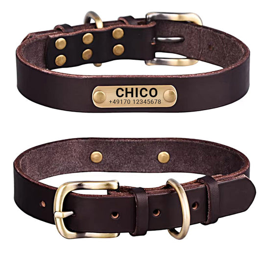 Echt lederen hondenhalsband met messing gesp in vier kleuren en gratis gravure van naam en telefoonnummer