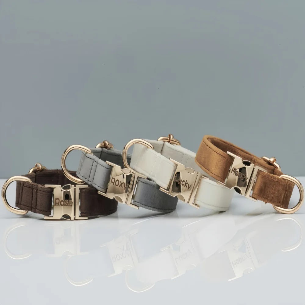 Gepersonaliseerde fluwelen hondenhalsband "Emilia" met gravure – Verstelbaar & Elegant