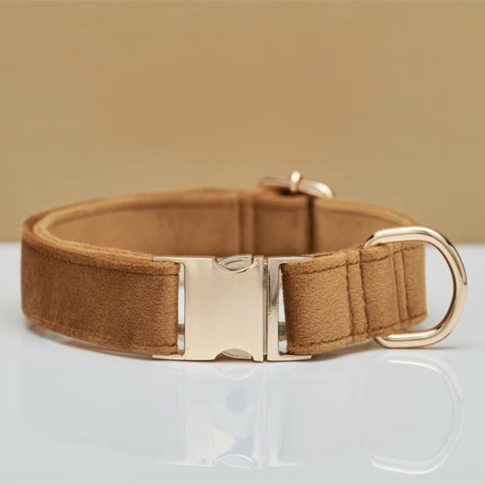 Gepersonaliseerde fluwelen hondenhalsband "Emilia" met gravure – Verstelbaar & Elegant