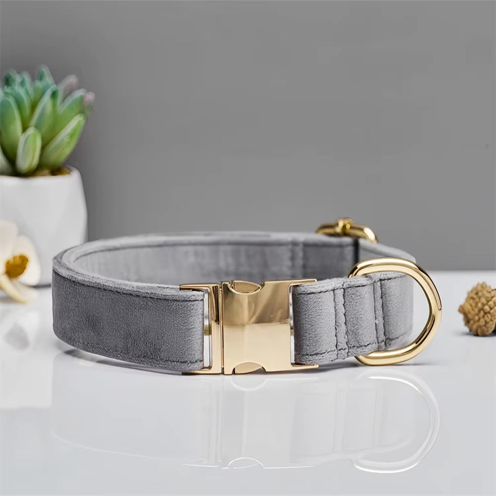 Gepersonaliseerde fluwelen hondenhalsband "Emilia" met gravure – Verstelbaar & Elegant