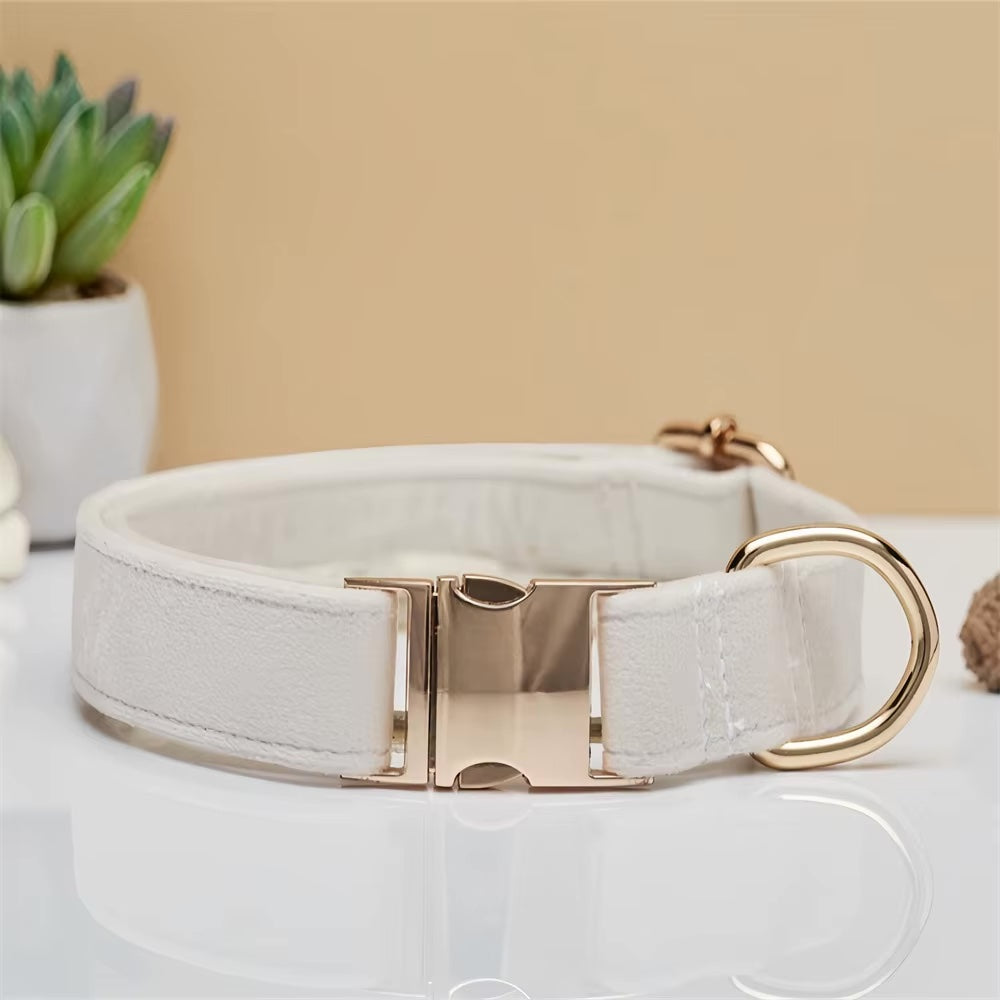 Gepersonaliseerde fluwelen hondenhalsband "Emilia" met gravure – Verstelbaar & Elegant