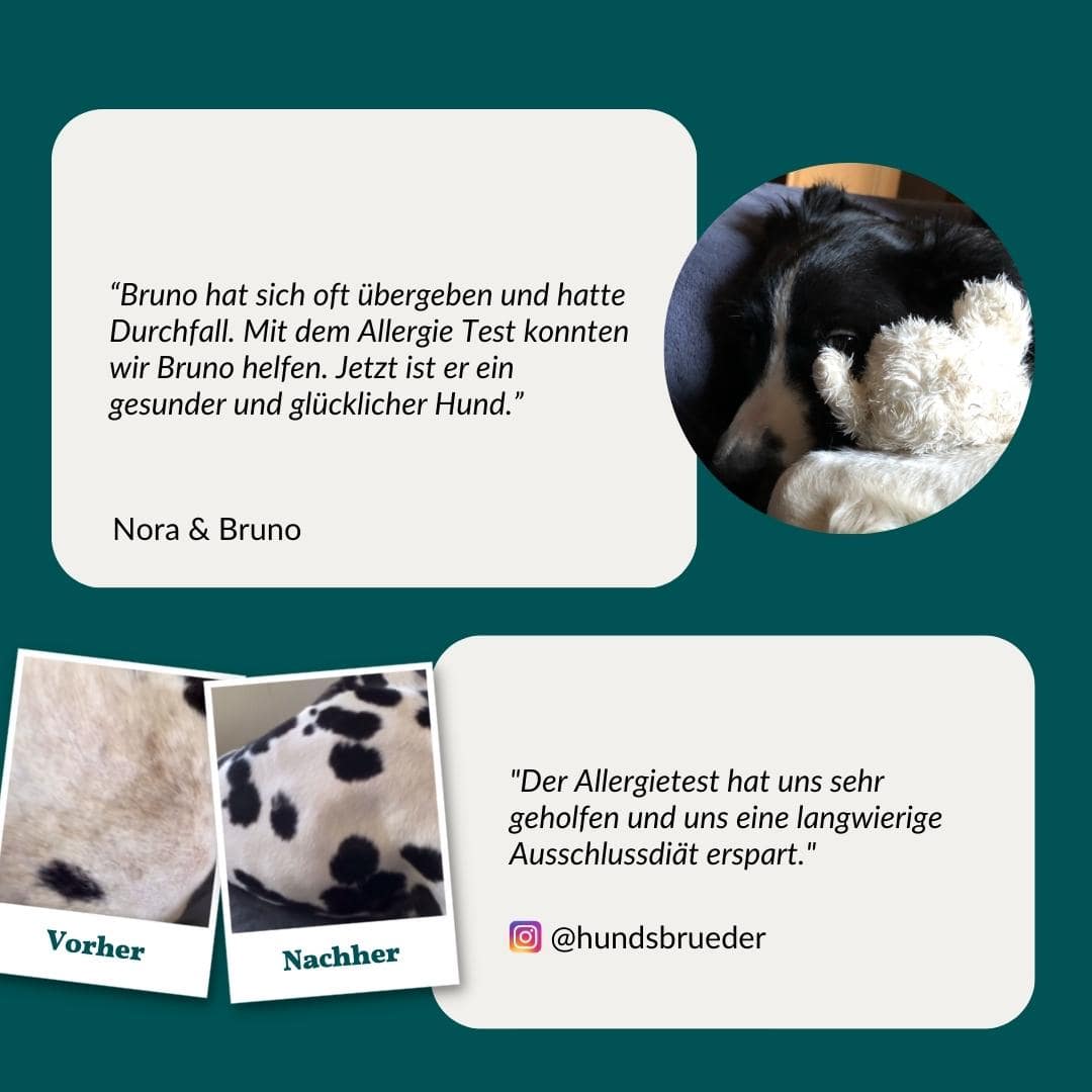 Allergietest Plus Hond