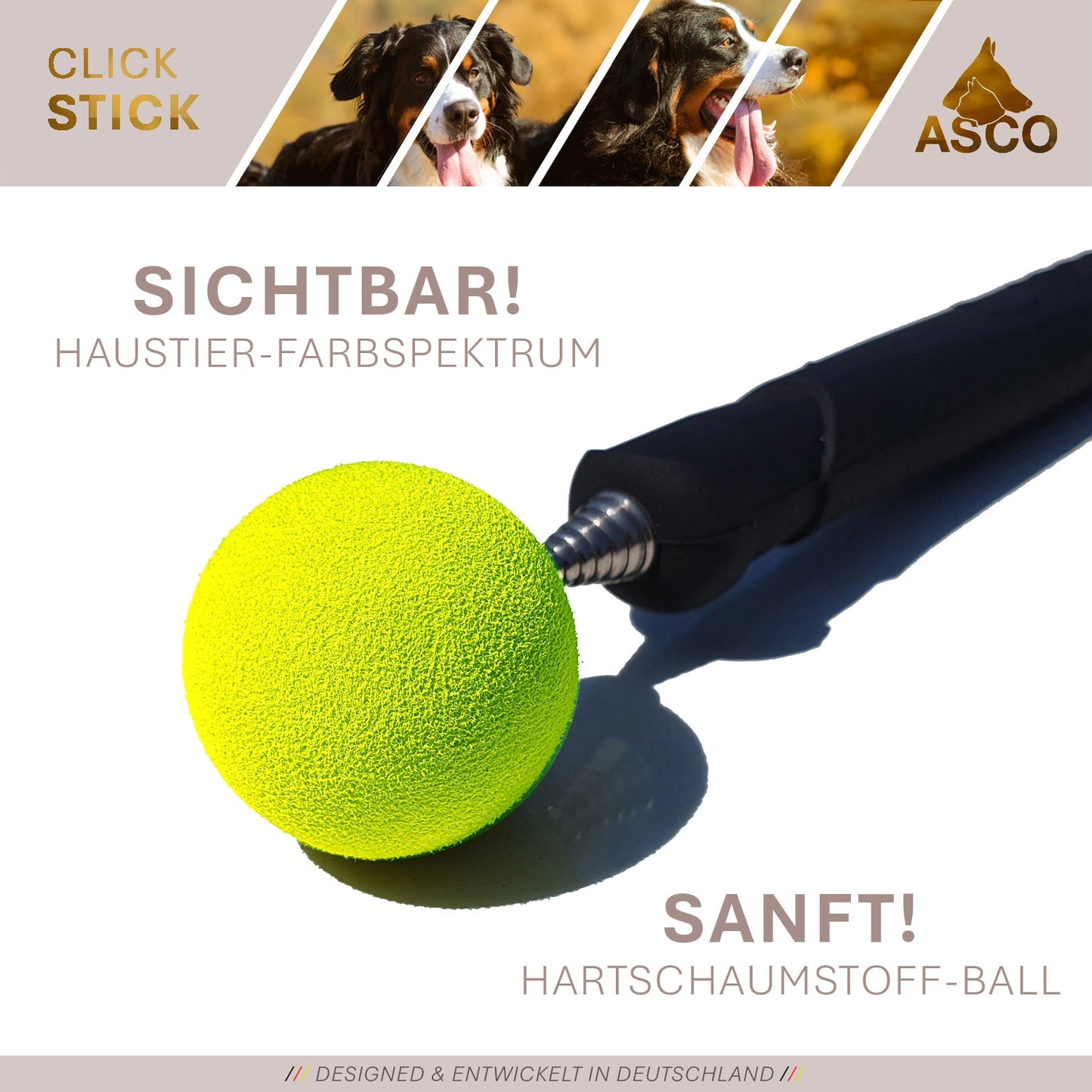 ASCO ClickStick - Richtstok met afneembare premium clicker - Richtstok voor hond kat clickertraining - Verlengbare richtstok met extra clicker - Richtstok voor richttraining