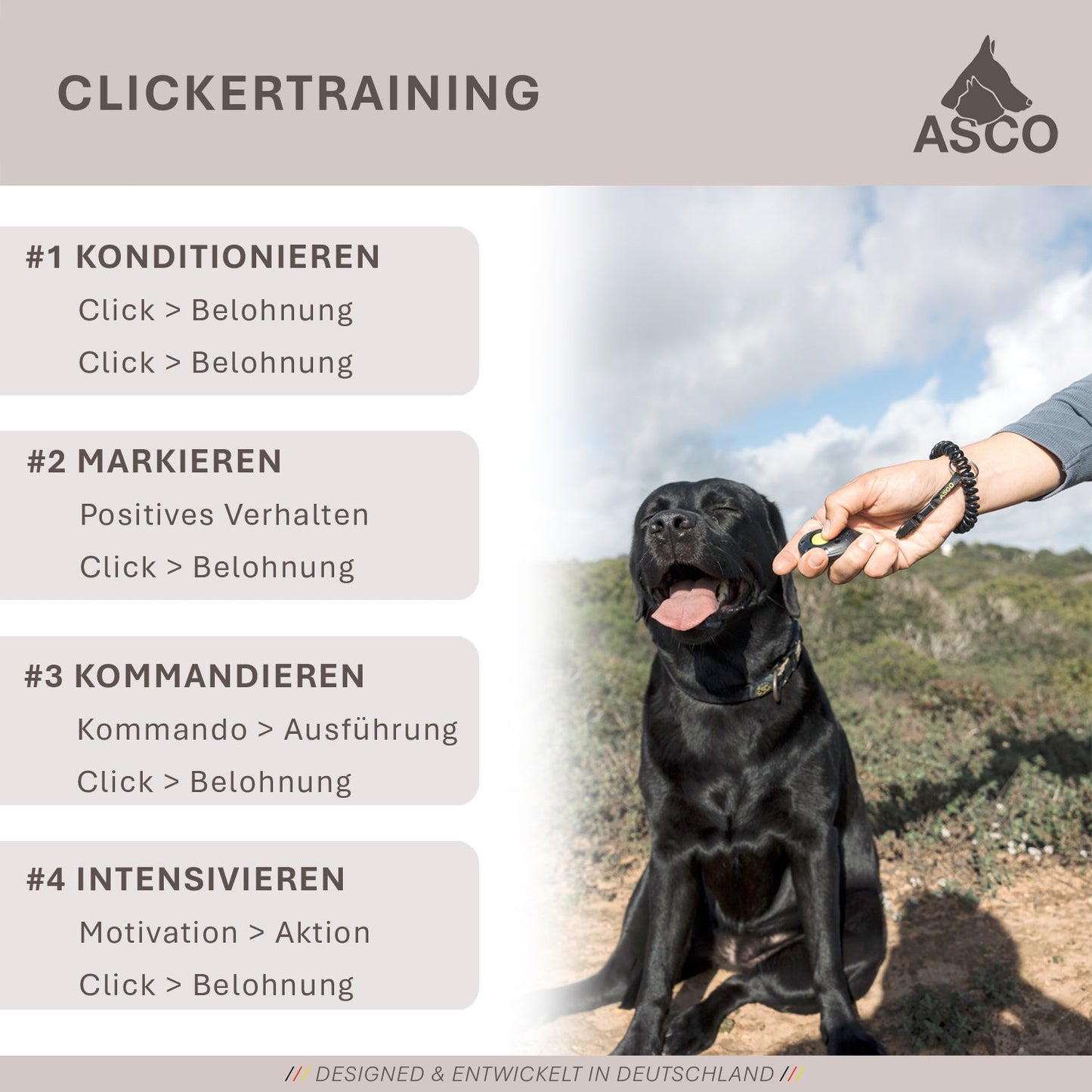 ASCO Finger Clicker - Clicker training premium clicker voor honden, katten, paarden