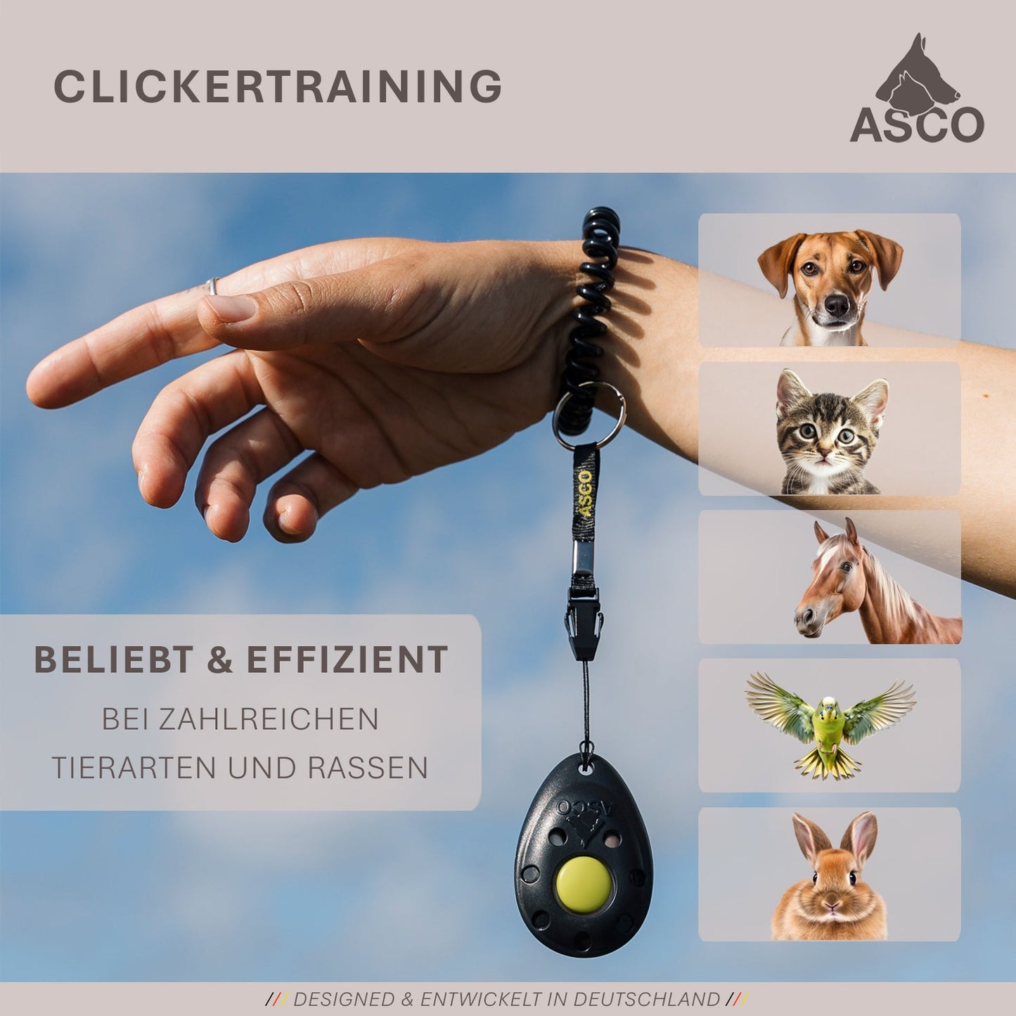 ASCO Finger Clicker - Clicker training premium clicker voor honden, katten, paarden