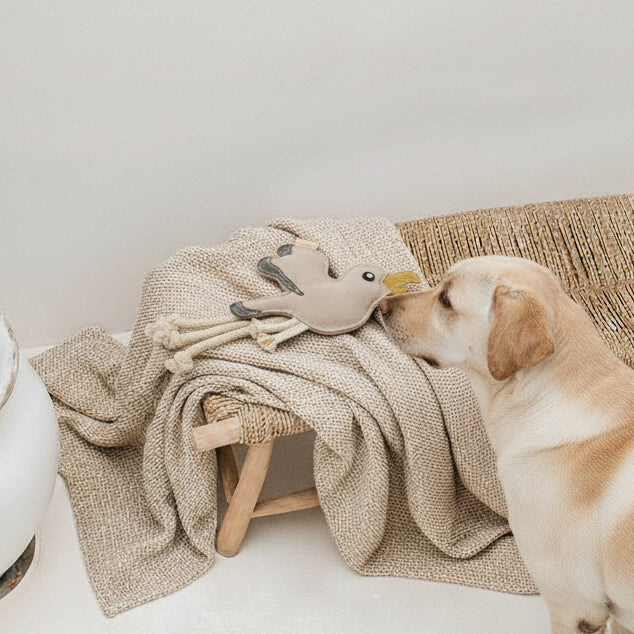BUDDY. Hondenspeelgoed van leer "Meeuw"