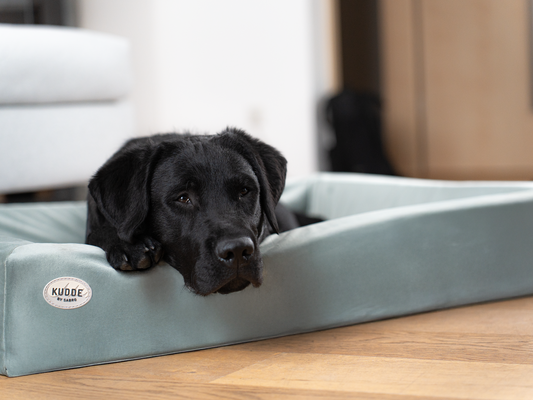 Hoes voor KUSSEN Fluweel