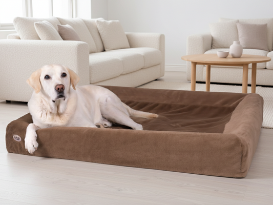 Hoes voor KUDDE Knuffelvacht (vegan)