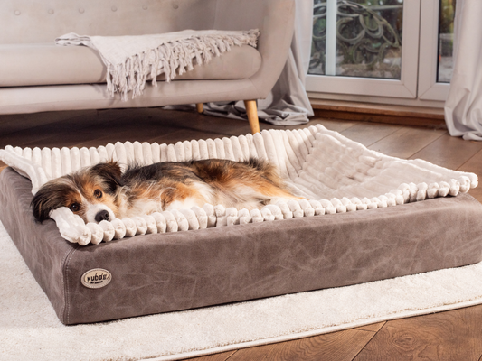 Hondenbed KUDDE veganistisch suède