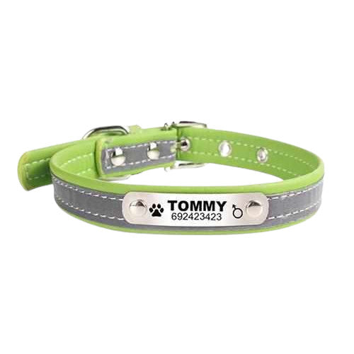 Hondenhalsband gegraveerd met naam en telefoon. Reflecterende