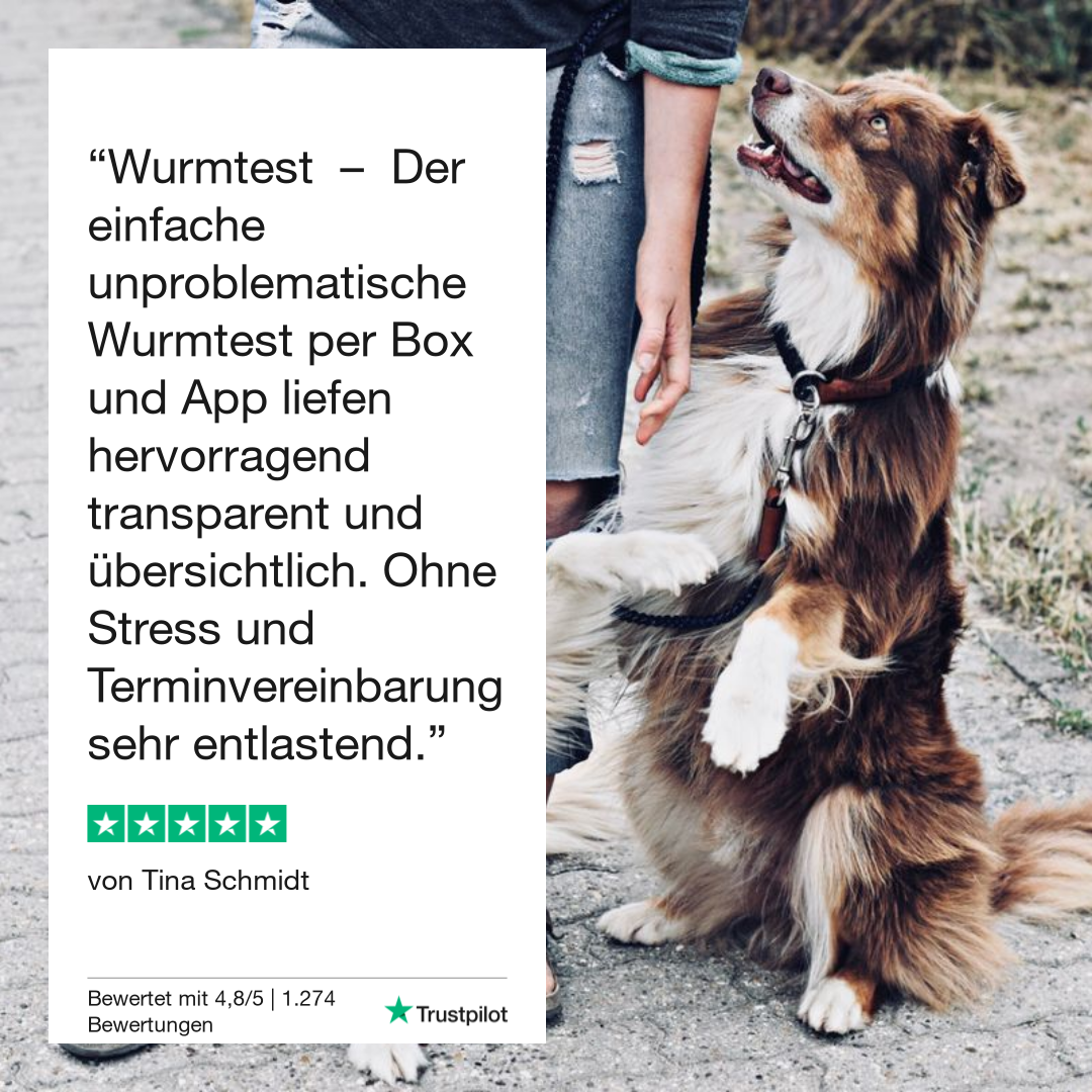 Diarréetest hond