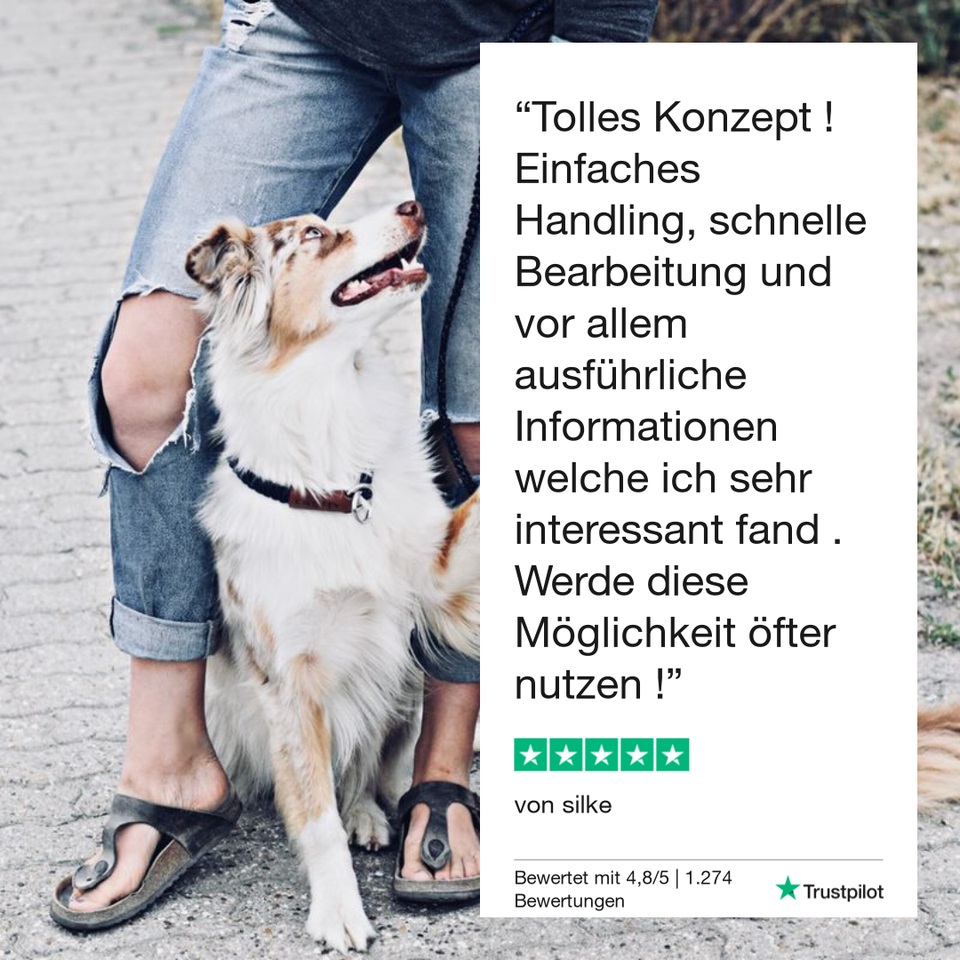 Giardiatest hond