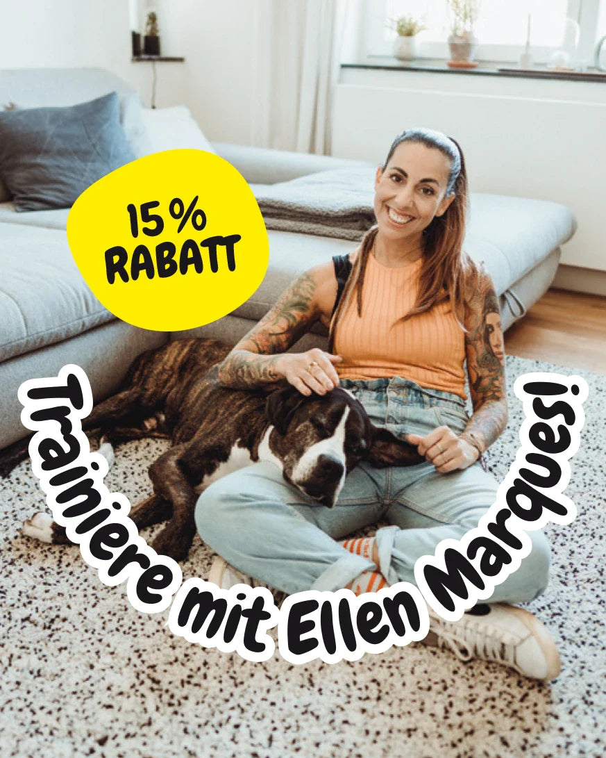 BUDDY. Hundespielzeug aus Leder "Löwe"