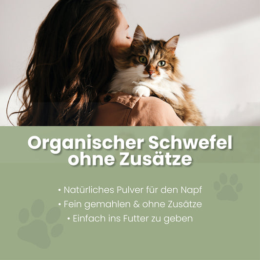 MSM Pulver für Katzen