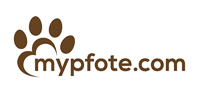 Personalisierte / gravierte Hundehalsbänder und Hundemarken
– mypfote.com