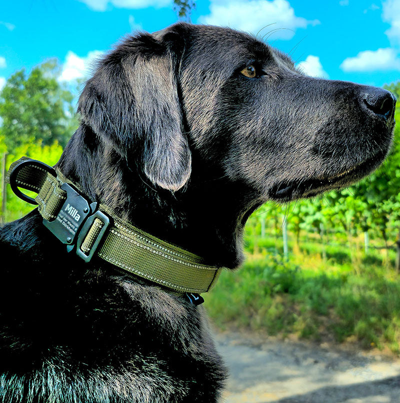 Tactische hondenhalsband met naam en handvat, gratis gravure op gesp