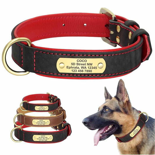 Exklusives Leder Hundehalsband mit großer Gravurplatte und gratis Gravur