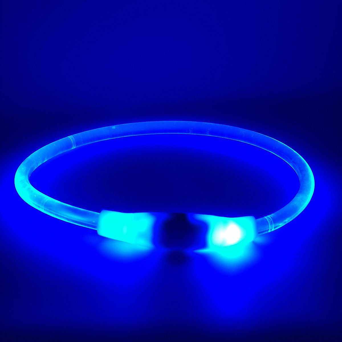 LED-Leuchthalsband / Leuchtring für Hunde