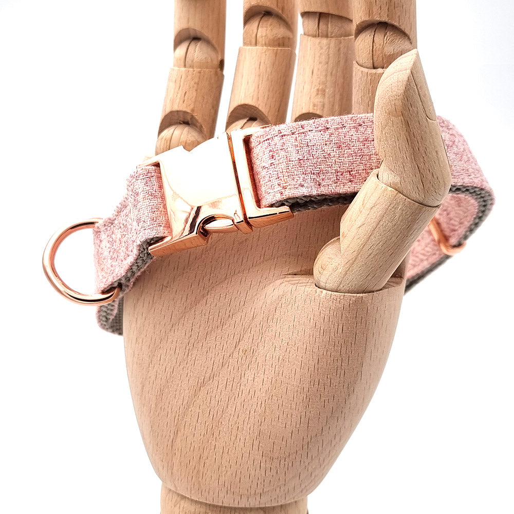 Süßes Hundehalsband mit kostenloser Gravur auf Schnalle