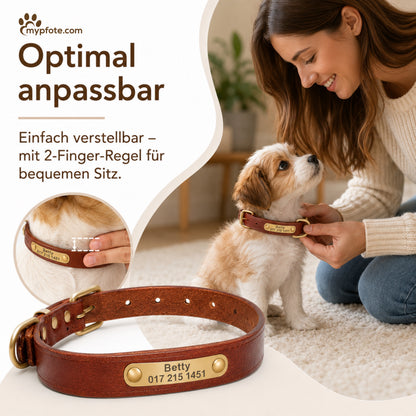 Leren hondenhalsband met goudkleurig merk, gegraveerde naam en telefoon