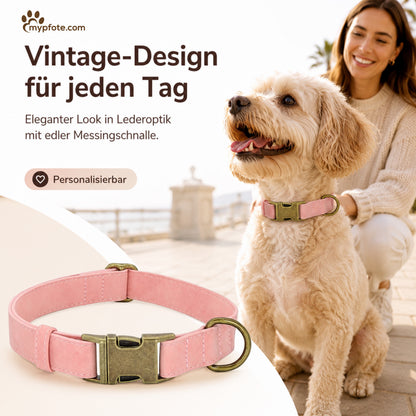 Elegante hondenhalsband in vintage-look met messing gesp en gratis gravure van naam en telefoonnummer