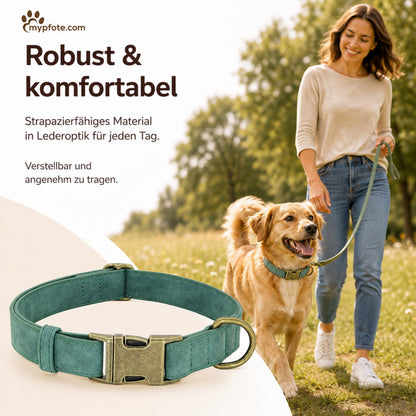 Elegante hondenhalsband in vintage-look met messing gesp en gratis gravure van naam en telefoonnummer