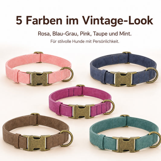 Elegante hondenhalsband in vintage-look met messing gesp en gratis gravure van naam en telefoonnummer
