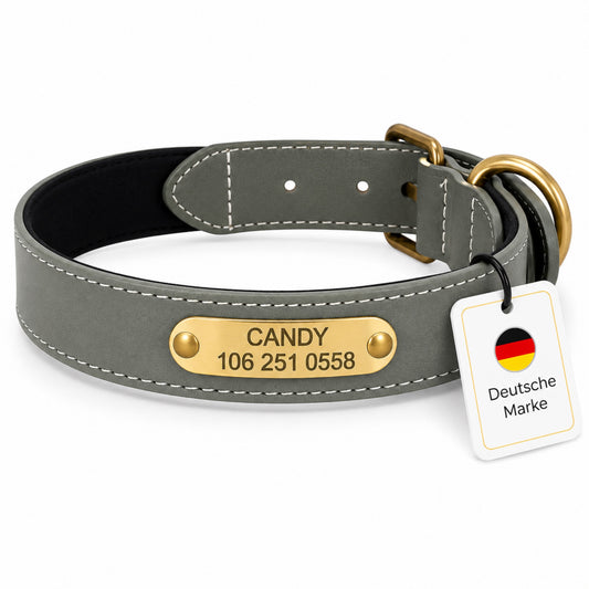 Mooie reflecterende hondenhalsband gegraveerd met naam