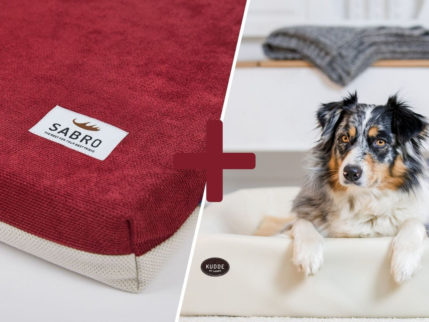 Orthopedisch-Plus Bundel | KUDDE Hondenbed + Mumin Inleg Alltid 