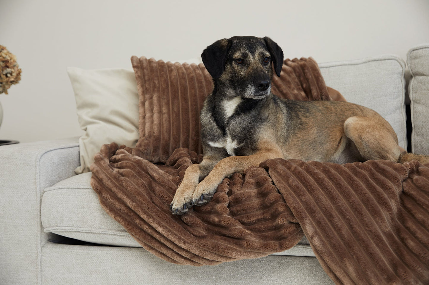 Knuffeldeken VÄRME Brede rib 