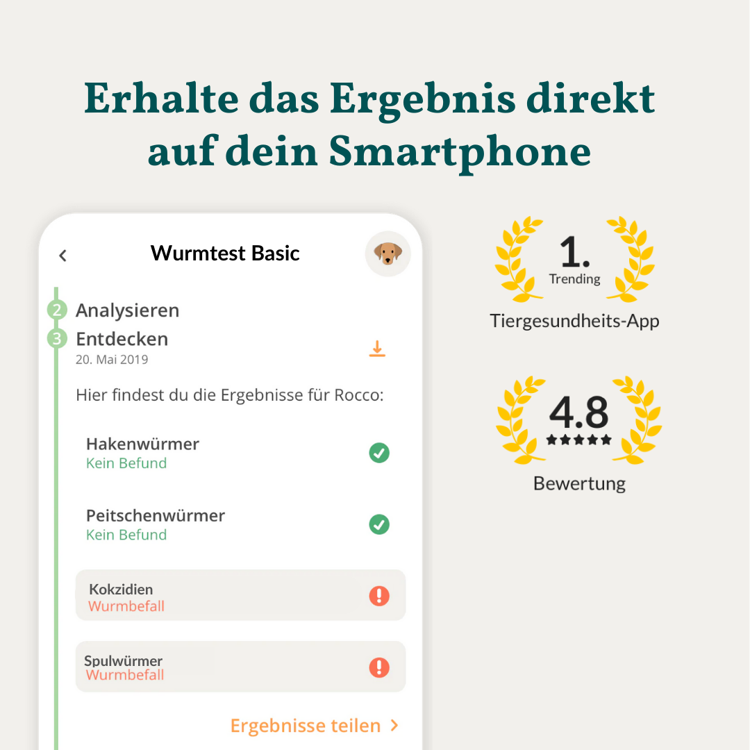 Wormtest Basic Hond 