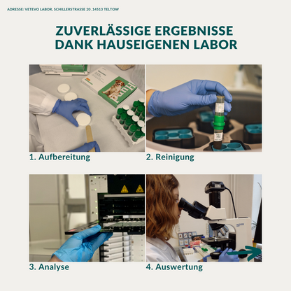 Wormtest Basic Hond Voordeelpakket 