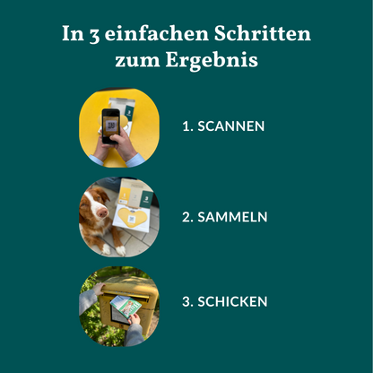 Wormtest Basic Hond Voordeelpakket 