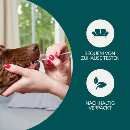 Allergietest Basis Hond 