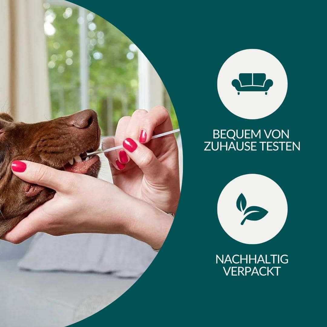 Allergietest Plus Hond 