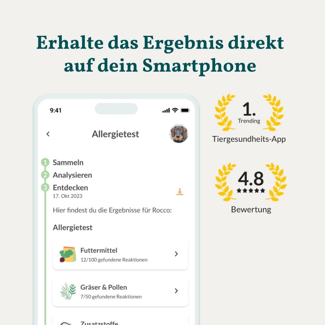 Allergietest Basis Hond 