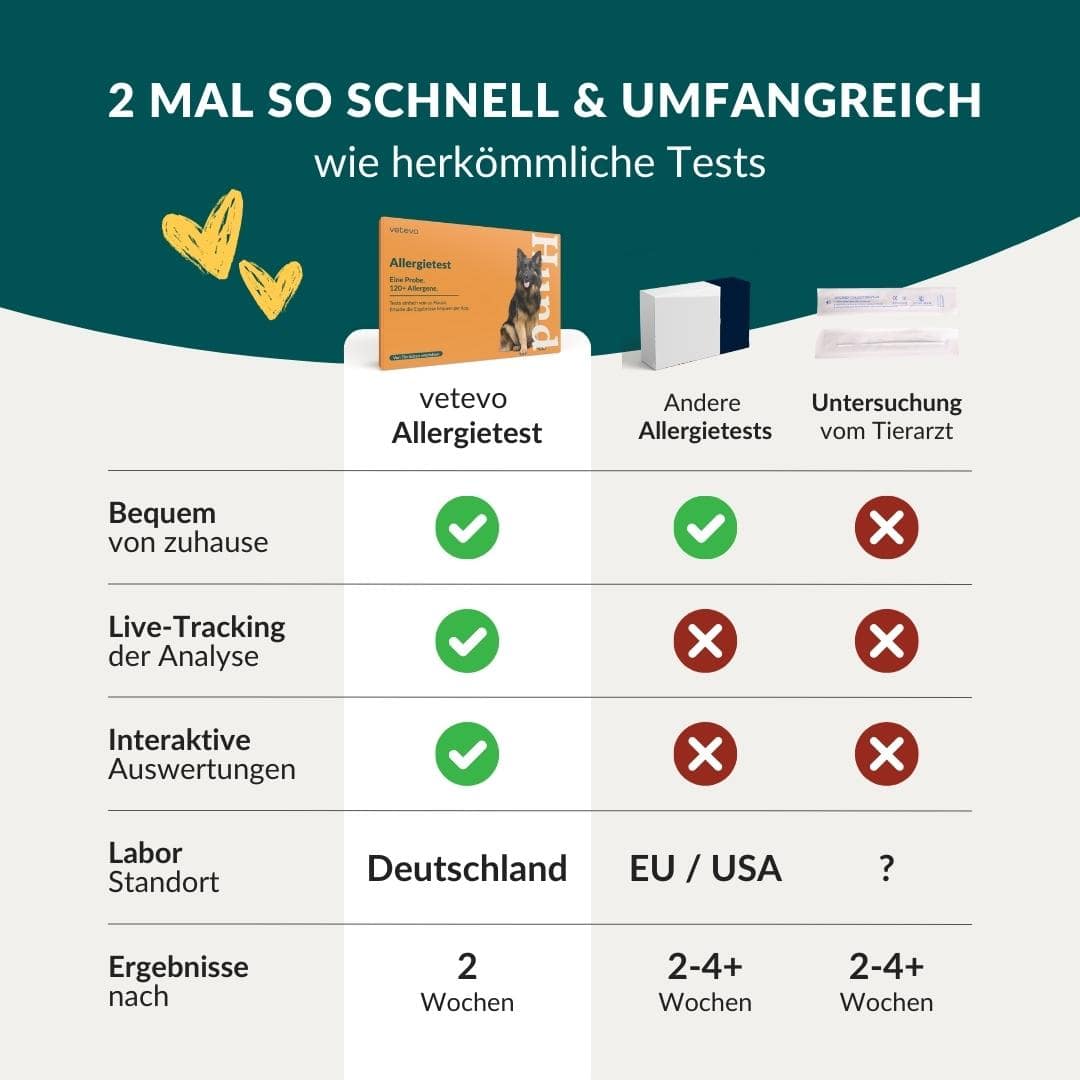 Allergietest Basis Hond 