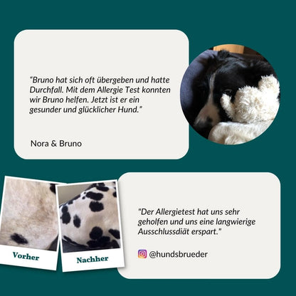 Allergietest Basis Hond 