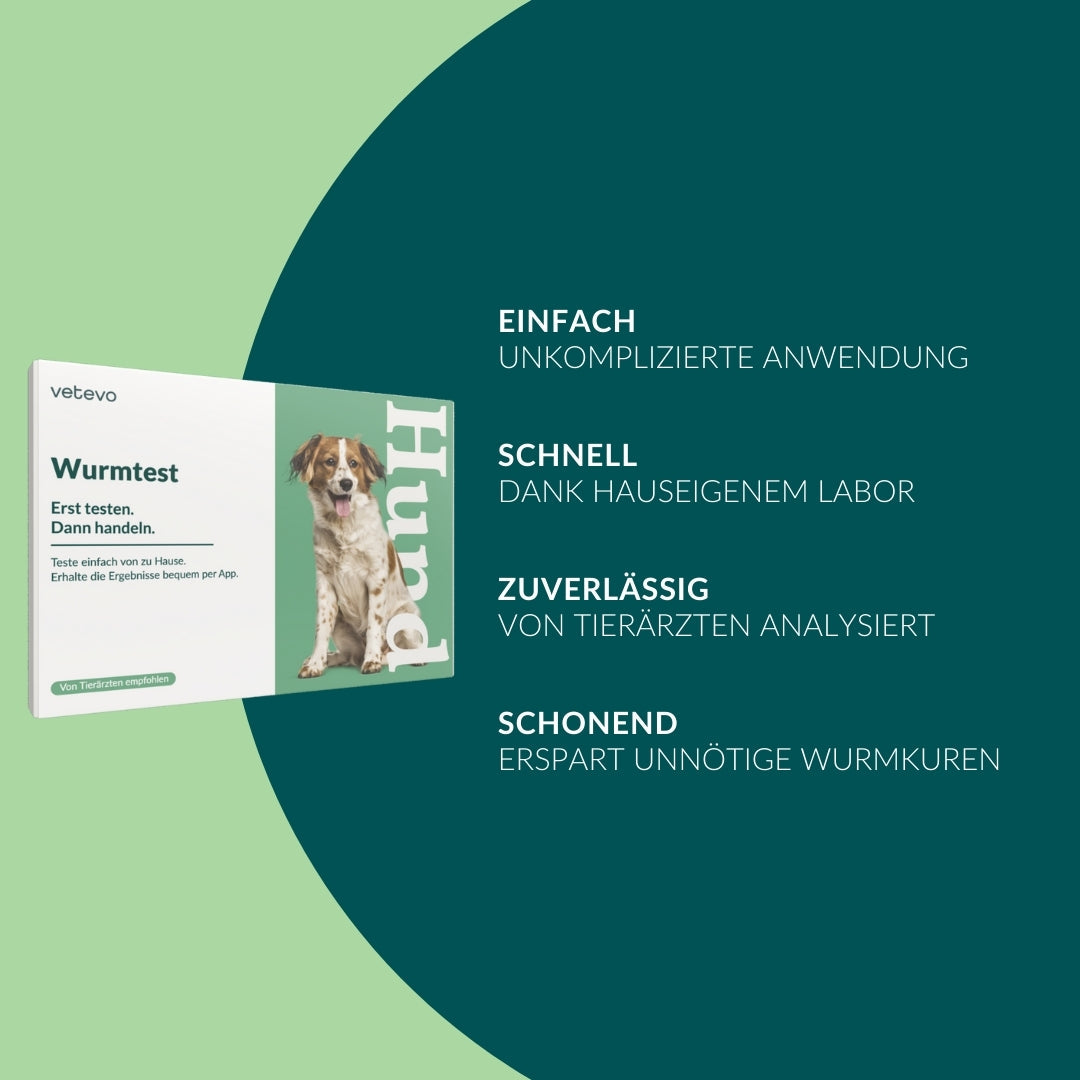 Wormtest Basic Hond 