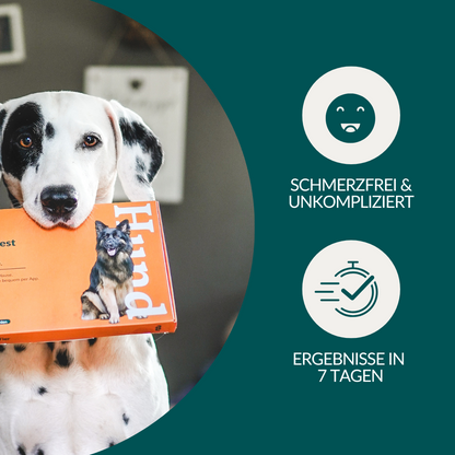 Allergietest Plus Hond 