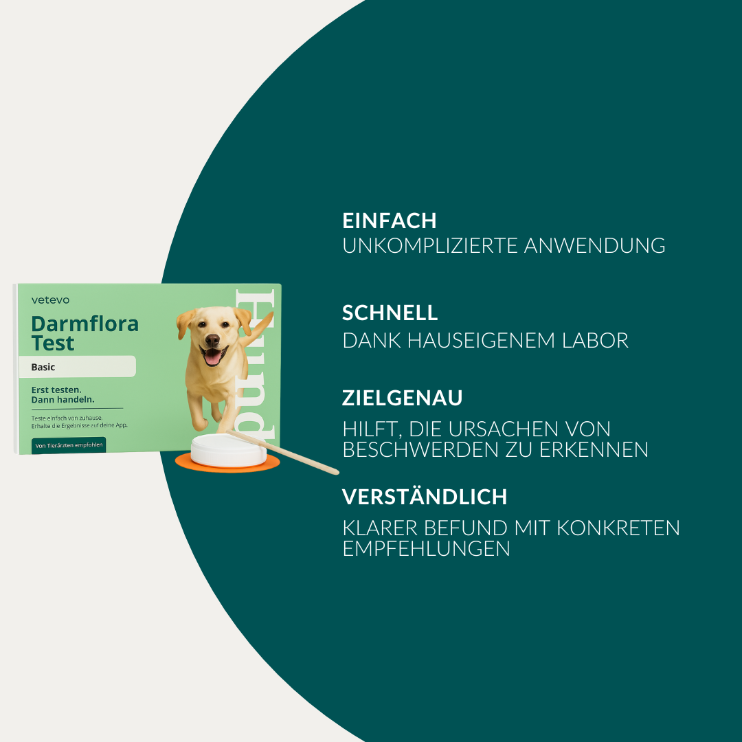 Darmflora Test Hond 