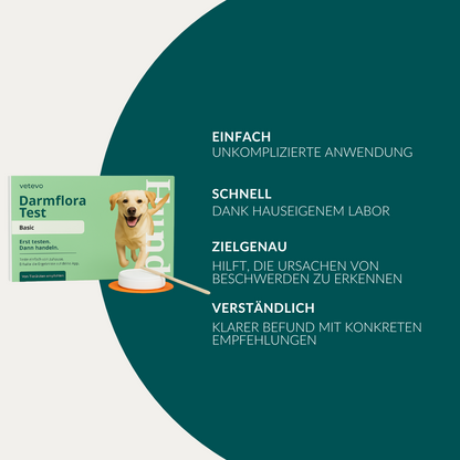 Darmflora Test Hond 