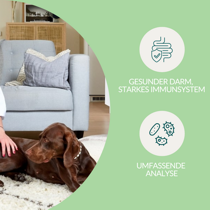 Darmflora Test Hond 