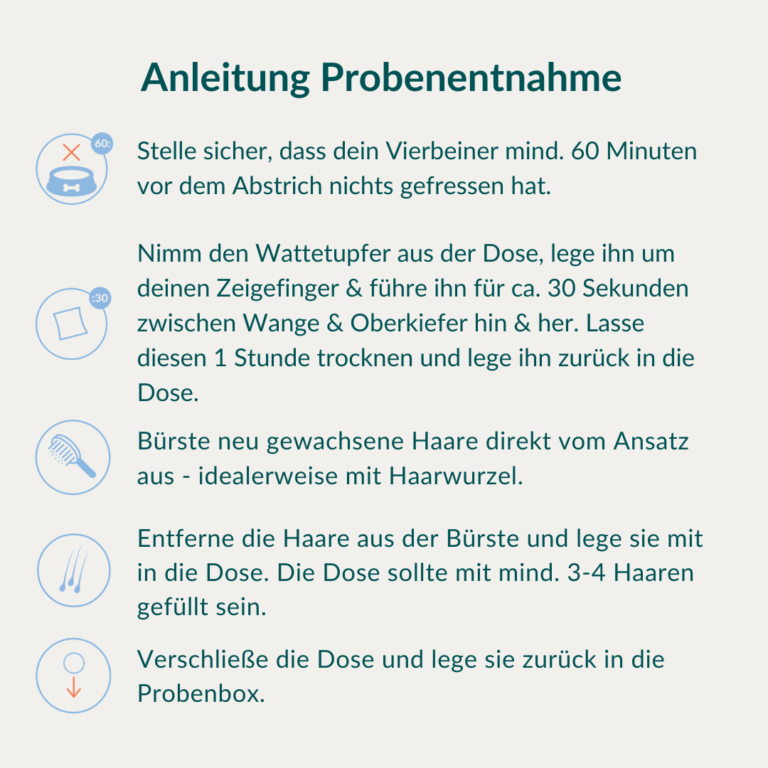 Allergietest Plus Hond 