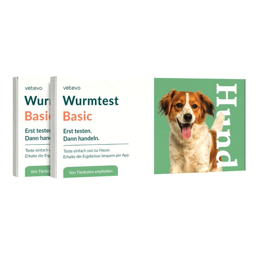 Wormtest Basic Hond 