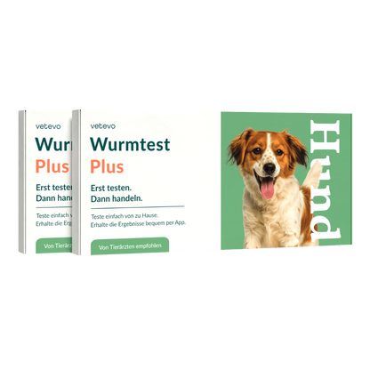 Wormtest Plus Hond 