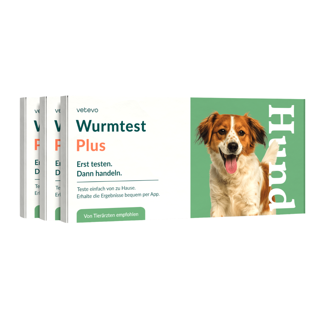 Wormtest Plus Hond 
