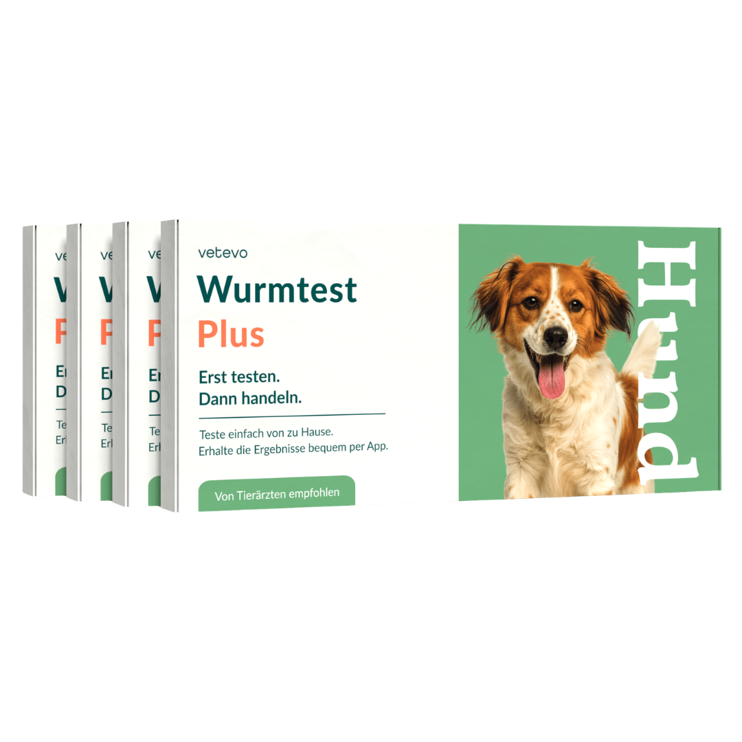 Wormtest Plus Hond Voordeelpakket 