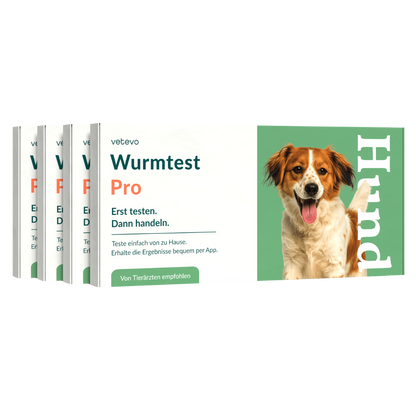 Wormtest Pro Hond Voordeelpakket 