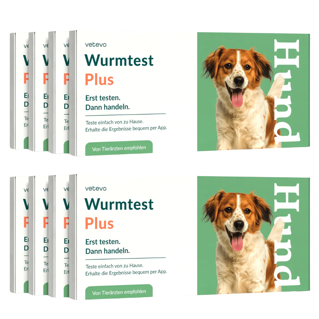 Wormtest Plus Hond Voordeelpakket 